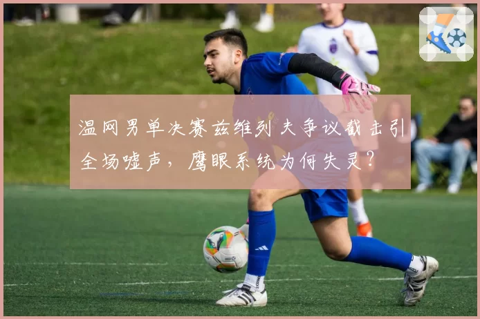 温网男单决赛兹维列夫争议截击引全场嘘声，鹰眼系统为何失灵？