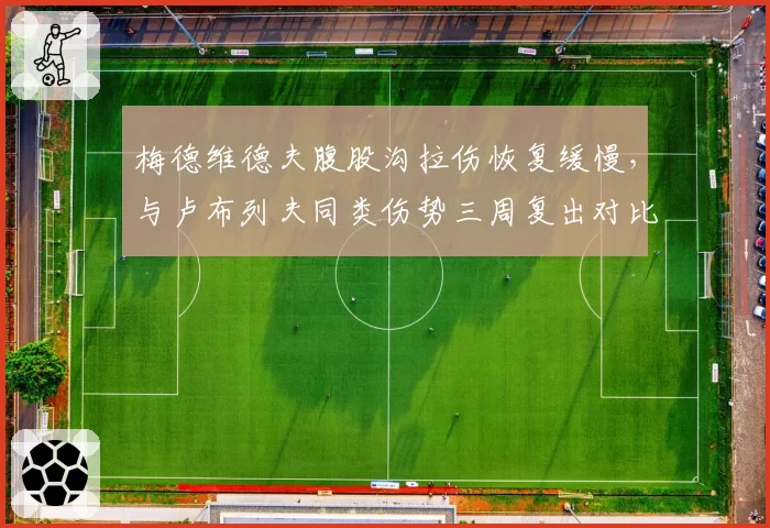 梅德维德夫腹股沟拉伤恢复缓慢，与卢布列夫同类伤势三周复出对比引粉丝不满