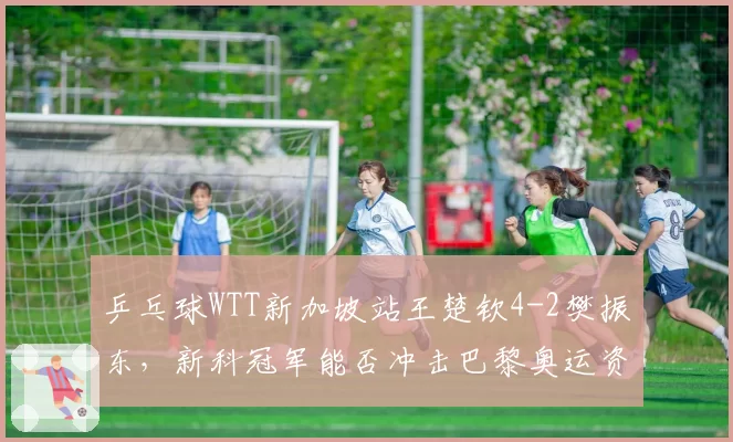 乒乓球WTT新加坡站王楚钦4-2樊振东，新科冠军能否冲击巴黎奥运资格？