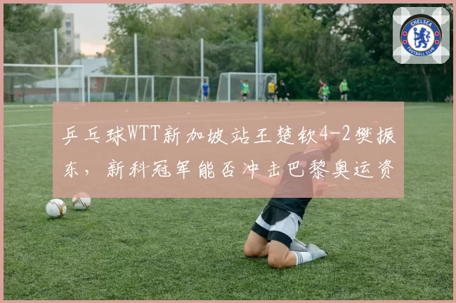 乒乓球WTT新加坡站王楚钦4-2樊振东，新科冠军能否冲击巴黎奥运资格？