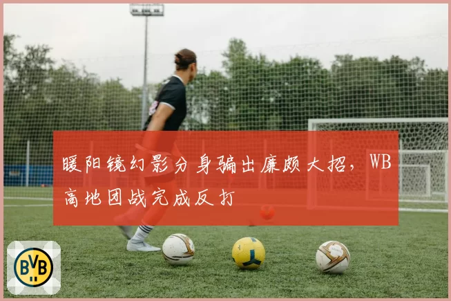 暖阳镜幻影分身骗出廉颇大招,WB高地团战完成反打