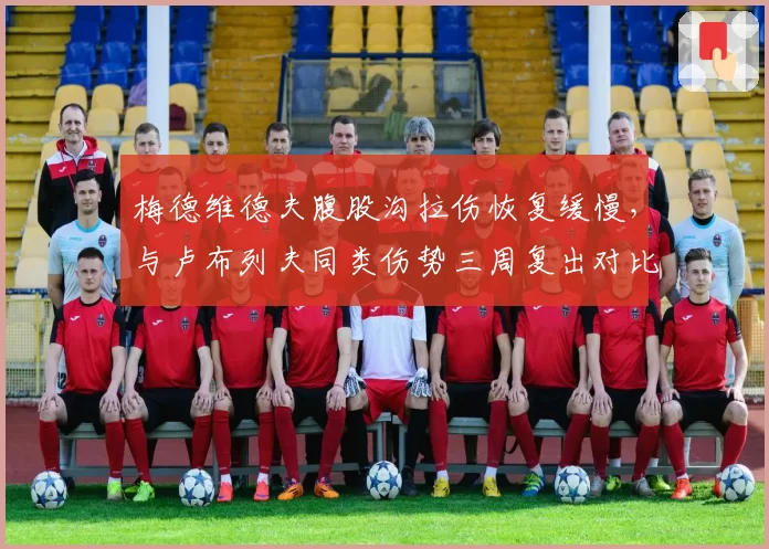 梅德维德夫腹股沟拉伤恢复缓慢，与卢布列夫同类伤势三周复出对比引粉丝不满